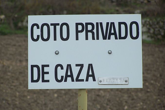 Fotografía de la galería de imágenes con id: 985
